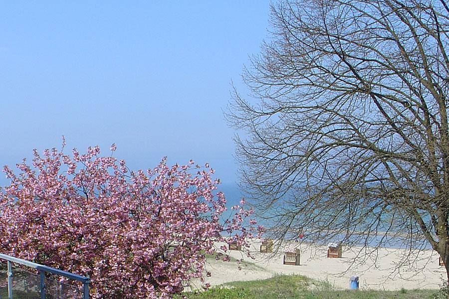 Villa Hansa Am Meer Timmendorfer Strand Zewnętrze zdjęcie